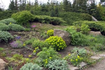 Landscaping Supplies in Henderson, Te Atatu, Glen Eden• Localist