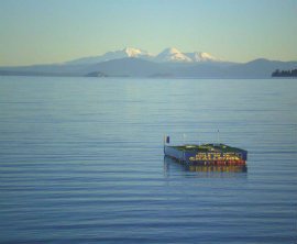 Lake Taupo Hole In One Challenge image 2