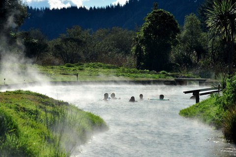 Waitangi Soda Springs image 1