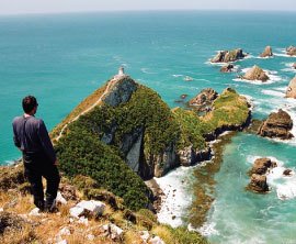 Nugget Point image 2