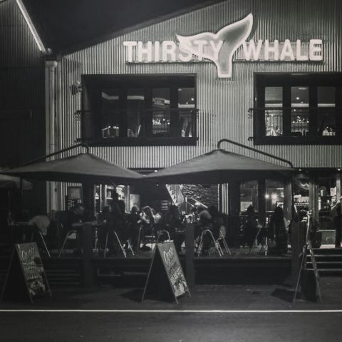 Thirsty Whale image 1