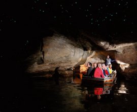 Glowworm Caves Te Anau image 1
