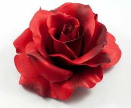 Rockabilly Rose Beauty Salon image 2