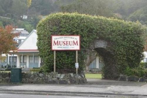 Thames Historical Museum image 1