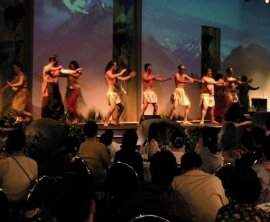 Pohutu Cultural Theatre image 1