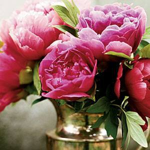 Zinnia Floral Design image 1