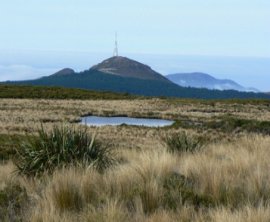 Swampy Summit Circuit image 1