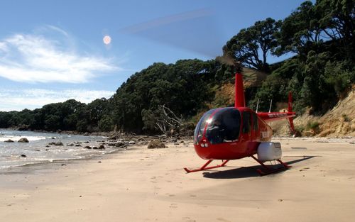 Aerius Helicopters Ltd image 1