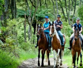 Briars Horse Trek image 2
