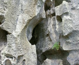 Labyrinth Rocks Walkway image 2