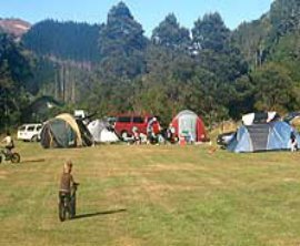 Catchpool Valley Conservation Campsite image 1