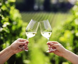 Ake Ake Vineyard image 2