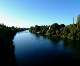 Waikato River image 1