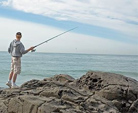 Musick Point Reserve image 1