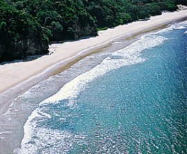 New Chums Beach image 1