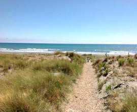 Waitarere Beach image 2