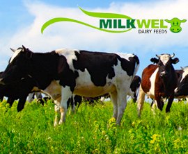 Milkwel Dairy Feeds image 1