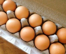 Organic Express image 1