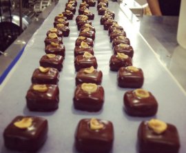 Wellington Chocolate Factory image 3