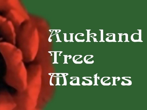 Arborists Auckland  image 1