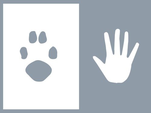Pet and Vet (Milford) image 1 Pet and Vet (Milford) image 1