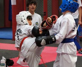The Martial Arts Academy image 1