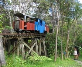 Whangaparaoa Railway image 2