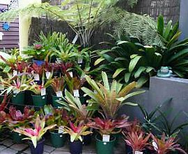 Decor Gardenworld image 1 Decor Gardenworld image 1