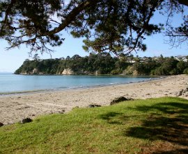 Stanmore Bay Park image 1