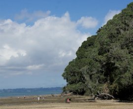 Titirangi Beach image 1