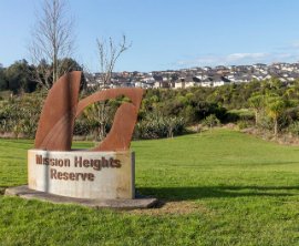 Mission Heights Reserve image 1