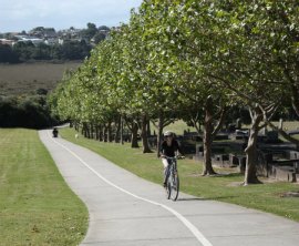 Northboro Reserve image 1