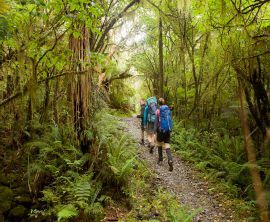 Milford Track image 1 Milford Track image 1
