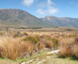 Heaphy Track image 1