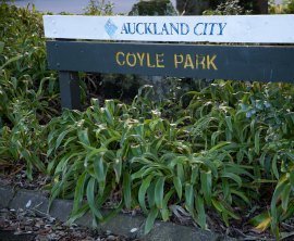 Coyle Park image 1