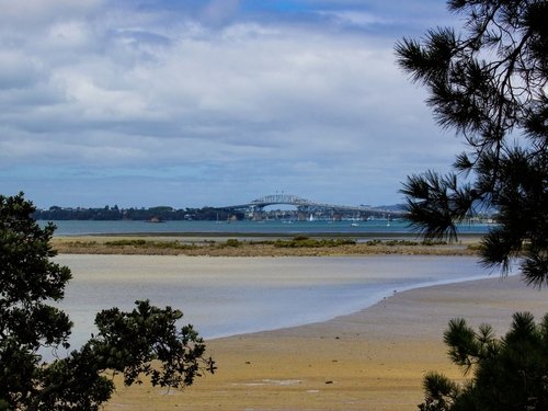 Point Chevalier Beach image 2