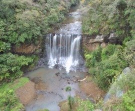 Mokoroa Falls - Goldies Bush image 1