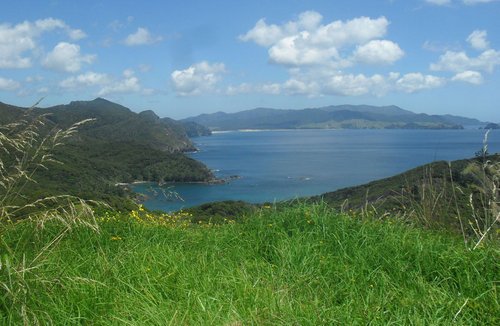 Harataonga Coastal Walkway image 1