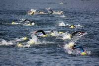 Triathlon swimmers will compete at this Sunday’s Barfoot & Thompson ITU World Cup event